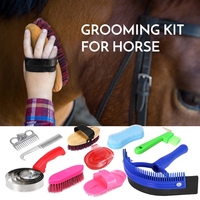 Juego de herramientas de aseo para caballos de acero inoxidable, kit de limpieza reutilizable, peine para crin y cola, cepillo de masaje, raspador de sudor, limpiador de pezuñas