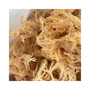 สาหร่ายแห้งคุณภาพส่งออก Eucheuma Cottonii วัตถุดิบคาร์ราจีแนนธรรมชาติสำหรับผู้ซื้อระหว่างประเทศ - Product Image 4