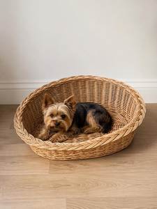 Sustainable Handwoven Rattan Pet Basket Cozy Sleeping <b>Bed</b> For Cats Puppies And Small Dogs - Product Image 3