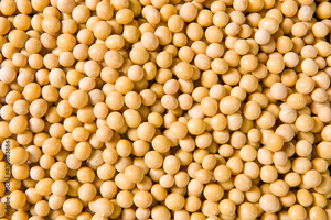 Haricots secs de haute qualité, graines de soja non-OGM, directement de l'usine, riches en protéines, graines de soja - Product Image 6