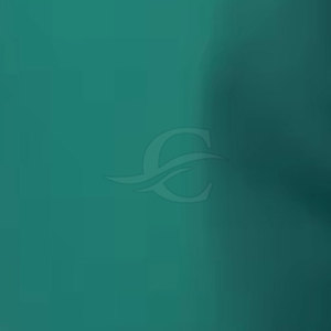 Servicios OEM, Precio Razonable, Pantalones Cortos Casuales de Algodón 100% para Hombre, Último Estilo, Diseño Personalizado, Ropa Urbana - Product Image 6