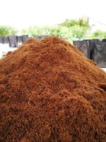 Vente en gros de briques de tourbe de coco compressées, milieu de culture direct en usine de coco pour plantes, semis et utilisation en serre