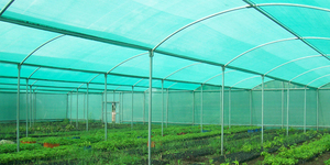 Shade nursery net Grass <b>Green</b> Agricultural <b>Netting</b> for Greenhouse Protection and Plant Covering - Product Image 2