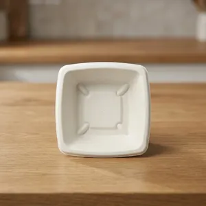 Tazón Cuadrado Premium de Bagazo Ecológico Biodegradable Desechable para Servir Alimentos, Snacks, Dulces, Curry y Uso en Catering - Product Image 1