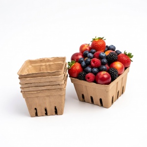Fruit Packaging Eco-Friendly Anti Break Compostable Molded <b>Pulp</b> Tray Fresh Fruit Tray From Vietnam Manufacturer Paper Boxes - Product Image 1