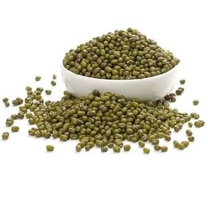 Frijol Verde Entero Orgánico Sabut Moong de Alta Germinación para Producción Comercial de Brotes de Frijol al Mejor Precio - Product Image 5