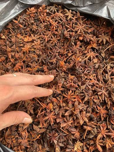 NUEVA TEMPORADA Anís estrellado vietnamita seco en cápsulas enteras, bolsa de 7 oz, calidad de exportación para procesamiento de alimentos - Product Image 2