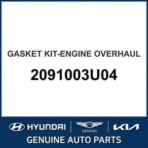 ปะเก็นและซีลใหม่ของ IONIQ รุ่น 2091003U04 - Product Image 1