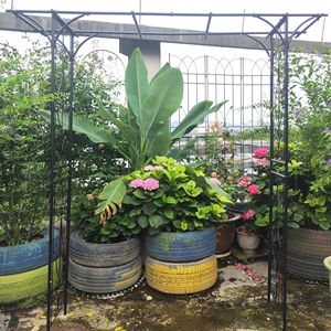 80.3 da giardino in metallo nero ''X 20.47'' X 81.1 '''' piante rampicanti supporto arco di Rose fornitura all'aperto - Product Image 2