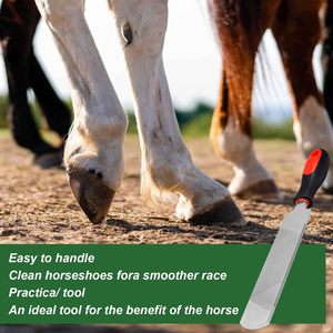 Raspador de pezuñas de 12 pulgadas, herramienta de herrador de acero al carbono, raspador de caballos con mango, adecuado para caballos, burros, vacas y cabras - Product Image 5