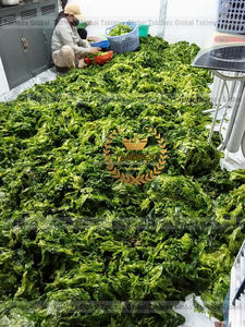 Vietnam Ulva Lactuca polvo verde Laver sostenible algas suplemento de alimentación potenciador del suelo polvo de algas secas para fertilizante - Product Image 6