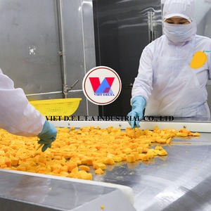 MANGO ORGÁNICO CONGELADO DE VIETNAM, MEJOR VENDEDOR 2025, PROVEEDOR VIETNAMITA, ALTA CALIDAD Y PRECIO ASEQUIBLE - Product Image 4