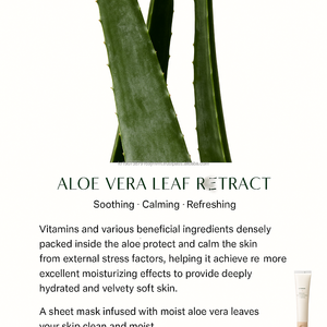 Crema Idratante Vegana K-Beauty all'Aloe Vera Senza Profumo per una Pelle Luminosa OEM - Product Image 3