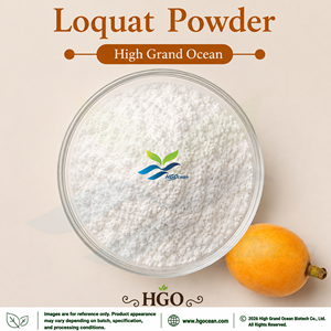 HGO Factory Direct Supply of Pure Natural Loquat Powder (Food Grade) Fruit powder <b>Spray</b> Drying or Freeze-dried Loquat Powder - Product Image 1
