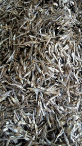 Anchois séchés au soleil du Vietnam, poisson entier naturel séché pour la transformation alimentaire, l'approvisionnement des restaurants et la distribution en gros de fruits de mer - Product Image 2