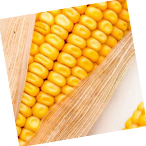 Precio de fábrica de almidón de patata/almidón de maíz/harina de patata de alta calidad - Product Image 6