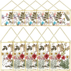 Cadre photo mural botanique de fleurs pressées, rectangulaire, en bois de manguier et métal doré, vente en gros - Product Image 1