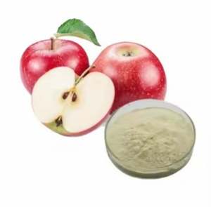 Poudre de pomme de haute qualité, riche en nutriments, ingrédient alimentaire à mailles fines, en promotion par l'exportateur - Product Image 2
