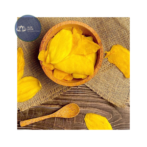 สินค้าขายดี |   มะม่วงอบแห้งแบบนิ่ม ขนมขบเคี้ยวรสผลไม้เมืองร้อน |   ผลไม้อบแห้งจำนวนมากสำหรับซูเปอร์มาร์เก็ต OEM แบรนด์ส่วนตัว เวียดนาม - Product Image 1