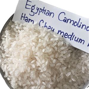 ข้าวคาลโรสเมล็ดกลางจากเวียดนาม ราคาแข่งขันได้สำหรับตลาดตะวันออกกลาง - Product Image 5