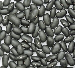 Haricots noirs en gros, qualité supérieure, secs, non-OGM, qualité alimentaire, approvisionnement en vrac, haute teneur en protéines, qualité export, à prix compétitif - Product Image 2