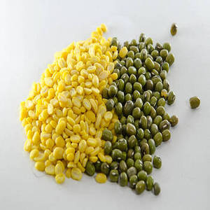 Poudre d'isolat de protéines de haricot mungo indien de qualité supérieure pour les fabricants alimentaires mondiaux développant des produits végétaliens à étiquette claire - Product Image 3