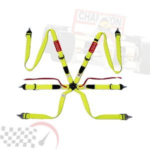 TBRACING FIA 8853 2016 Racing Harness OEM ODM Custom Brand Wholesale Anti <b>Slip</b> Shoulder Pad And One Piece Sewing - Product Image 1