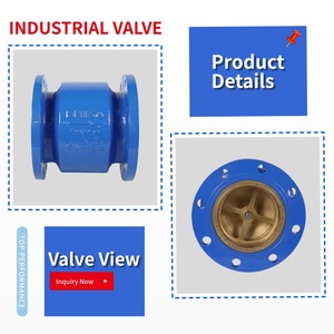 HC41X-16Q Sfero Döküm Sessiz Çek Valf PN16 Flanş Uçlu EPDM Conta Pirinç Diskli Su Pompası HVAC Yangın Koruma - Product Image 3
