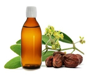 Aceite Simmondsia chinensis de la mejor calidad de India - Product Image 5