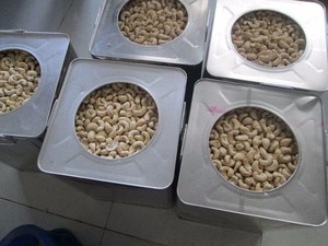 Hot Selling Organic Big Cashew <b>Nuts</b> & <b>Kernel</b> Great Quality at Low Price Dried & Raw for Food W180 & W320 Grade - Product Image 6