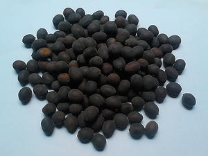 Hotsale Perpetual Bloom <b>Hydroponic</b> Plant Opened Brown Lotus <b>Seeds</b> Dried Raw for Planting in Water - Product Image 3