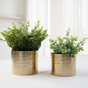 Juego de 3 Macetas Decorativas de Hierro con Acabado Dorado, Perfectas para Plantas de Interior, Suculentas, Hierbas y Decoración Moderna para el Hogar y la Oficina - Product Image 6