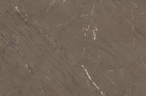 กระเบื้องปูพื้นและผนังพอร์ซเลนสีน้ำตาลวิทรัม รุ่นโมเดิร์น ผิวด้าน ทนกรด สำหรับตกแต่งภายใน วิลล่า โรงพยาบาล ขนาด 60x120 ซม. - Product Image 5