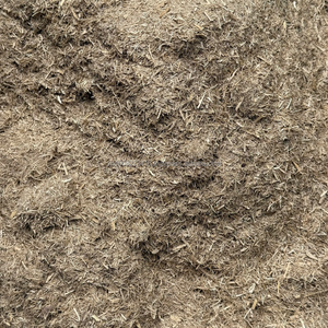Polvo de bagazo de caña de azúcar de Vietnam para alimentación de ganado, aves de corral y rumiantes - Kim Minh International - Product Image 5