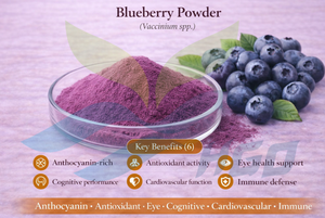 Approvisionnement direct d'usine HGO de poudre de myrtille naturelle pure (qualité alimentaire) spécification poudre de fruit (poudre de fruits ou de légumes) - Product Image 5