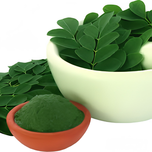 Fine Ground Moringa Leaf Powder Bulk Packaging for Beverage Mixing and Export Ingredient Manufacturing Use best OEM service - Product Image 1