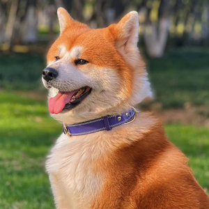 Seamed Stitched PU Leather Collar Available In all Color for <b>Dogs</b> Wear Custom Printing Logo 2 D Type <b>Dogs</b> Collars - Product Image 5