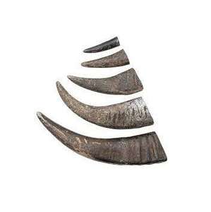 Puntas de Cuerno de Búfalo de Primera Calidad - Puntas de Cuerno Natural Pulidas a Mano, Ecológicas, de Alta Calidad, Tamaño Personalizado para Bodas y Fiestas - Product Image 6