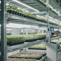 Machine de semis automatique pour grandes bacs de semis avec remplissage de terre, ligne de semis et table d'irrigation goutte à goutte à flux et reflux pour bacs de légumes