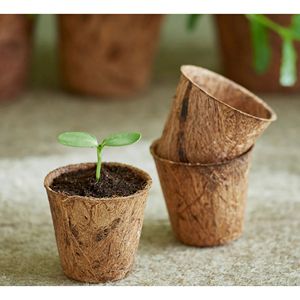 Maceta de Fibra de Coco Natural al por Mayor para Plántulas, Viveros y Cultivo en Invernadero - Product Image 5