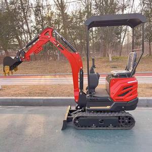 Excavadora de cadenas robusta usada con capacidad de 3000 kg, brazo de alto alcance y chasis reforzado para limpieza agrícola - Product Image 2