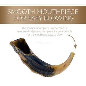 Cepillo de limpieza de cuerno Musical Kosher Ram Shofar hecho a mano, soporte de shofar en aerosol antiolor de ágata y bolsa de Shofar, regalo judío decorativo - Product Image 2