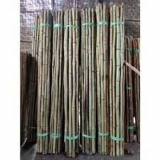 Encuentra un Icono Similar: Varas de Bambú en Diferentes Colores Verde, Negro, Bambú Natural, Varas de Bambú Antiguas - Product Image 6