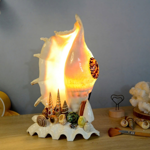 Lámpara de Noche Artesanal de Conchas Marinas, Origen Vietnam, para una Atmósfera Acogedora y Conjuntos de Regalo Creativos, 99 Gold Data - Product Image 2