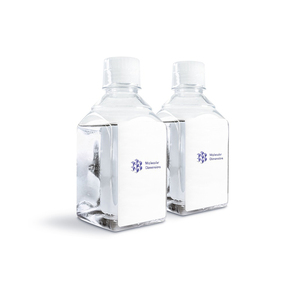 Polypropylène glycol abordable pour les achats en gros et la distribution - Product Image 3