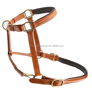 Factory Wholesale Custom <b>Equestrian</b> Riding Equipment Accessories Black and Tan Genuine Leather Horse Halter - Product Image 1