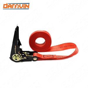 Sangles d'arrimage pour le contrôle de la cargaison, Vietnam, sangles à cliquet sans fin de 1 pouce, sangles de cargaison personnalisées - Product Image 6