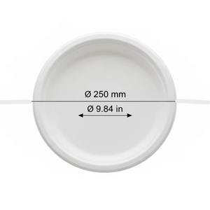 Vaisselle jetable légère et biodégradable en bagasse de canne à sucre de qualité supérieure, 10 pouces, écologique pour les fêtes - Product Image 6