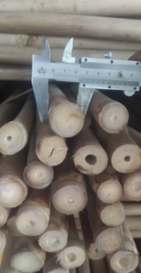 Bâtons de bambou naturel de qualité supérieure, écologiques, en provenance du Vietnam, pour la décoration de jardin, les structures extérieures et les projets de bricolage - Product Image 5