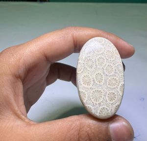 หินปะการังฟอสซิลธรรมชาติทรงคาโบชอง คริสตัลขัดเงา อัญมณีคุณภาพสูง รูปทรงผสมผสาน วัสดุสำหรับทำเครื่องประดับจำนวนมาก - Product Image 3